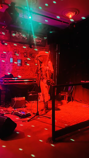 Gallery photo 4 of DJ, Violinist, Singer-Songwriter