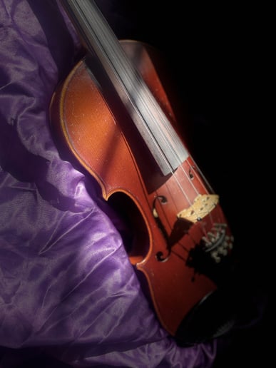 Gallery photo 4 of Solo Violinist