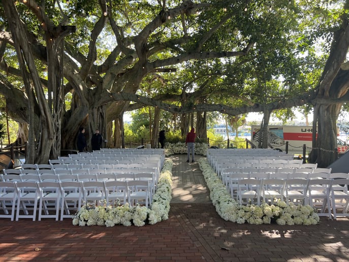 Gallery photo 5 of Solo/Ensembles for Weddings and Events