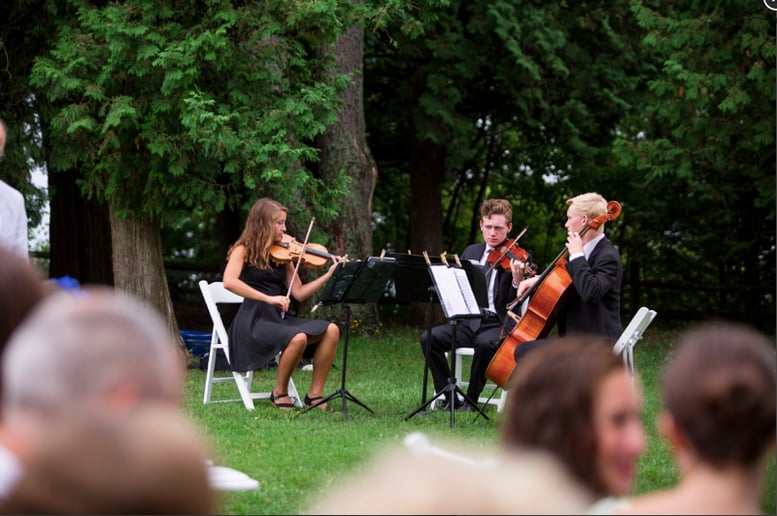 Gallery photo 3 of Solo/Group String Gigs