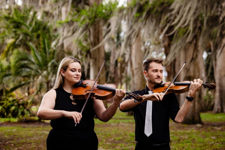Gallery photo 3 of Solstice Strings