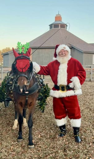 Gallery photo 15 of Sometimes Santa