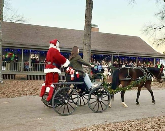 Gallery photo 16 of Sometimes Santa