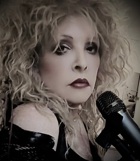 Gallery photo 1 of Somewhat Stevie Nicks