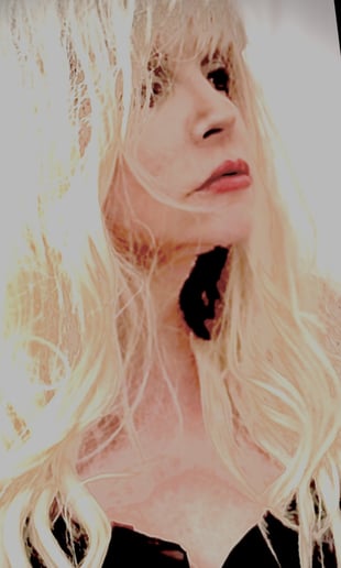 Gallery photo 2 of Somewhat Stevie Nicks
