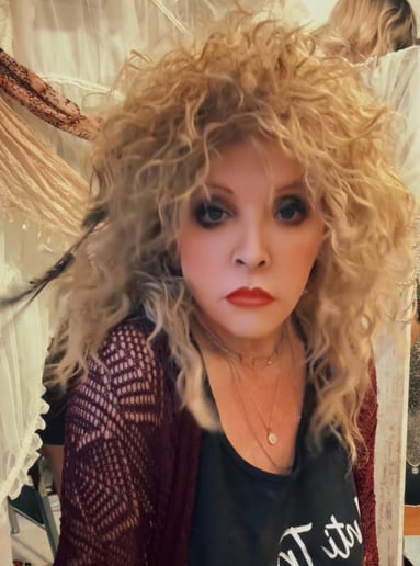 Gallery photo 5 of Somewhat Stevie Nicks