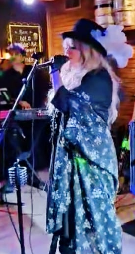 Gallery photo 8 of Somewhat Stevie Nicks