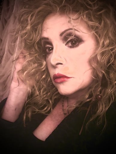 Gallery photo 9 of Somewhat Stevie Nicks