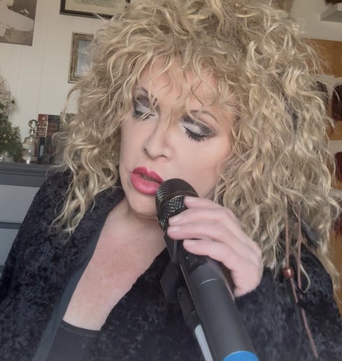 Gallery photo 10 of Somewhat Stevie Nicks