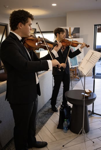 Gallery photo 7 of Sonata Strings