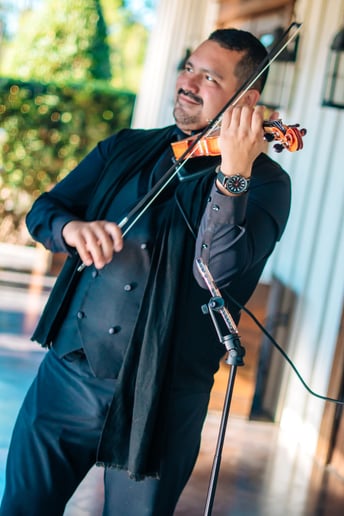 Gallery photo 3 of Sonata Strings