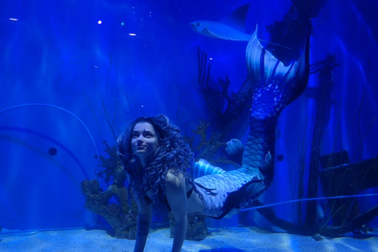 Gallery photo 6 of Songbird Siren Productions
