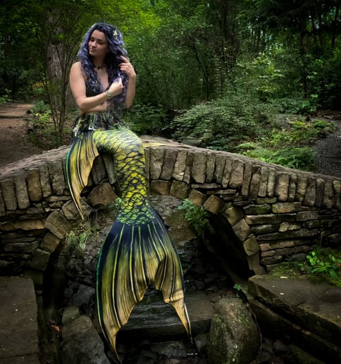 Gallery photo 3 of Songbird Siren Productions