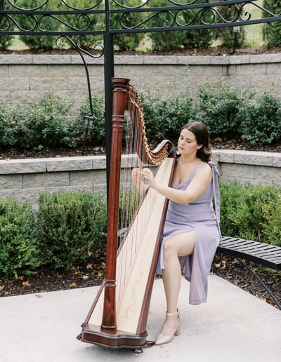 Gallery photo 4 of Sonja Westberg, harpist