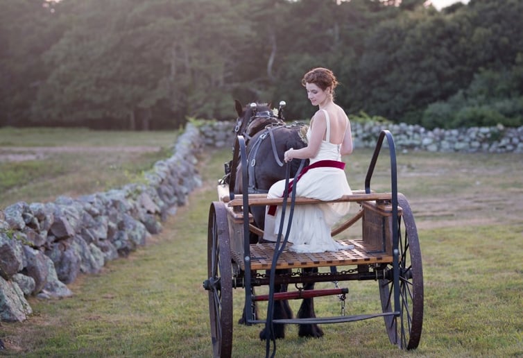 Gallery photo 4 of Sonnyside Rides Martha's Vineyard Horse & Carriage