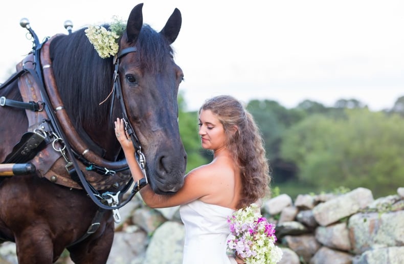 Gallery photo 7 of Sonnyside Rides Martha's Vineyard Horse & Carriage