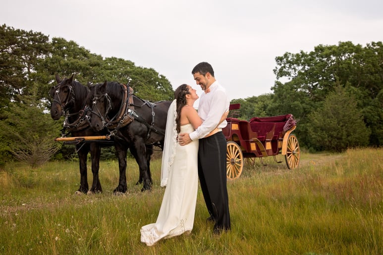 Gallery photo 2 of Sonnyside Rides Martha's Vineyard Horse & Carriage