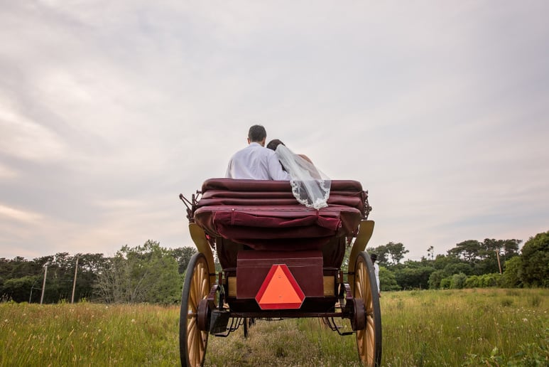 Gallery photo 3 of Sonnyside Rides Martha's Vineyard Horse & Carriage