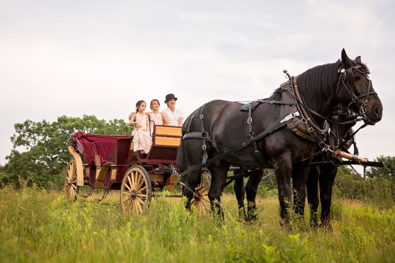 Gallery photo 1 of Sonnyside Rides Martha's Vineyard Horse & Carriage