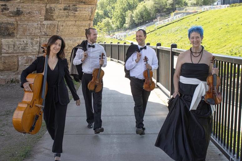 Gallery photo 1 of Sonorous Strings