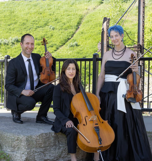 Gallery photo 2 of Sonorous Strings