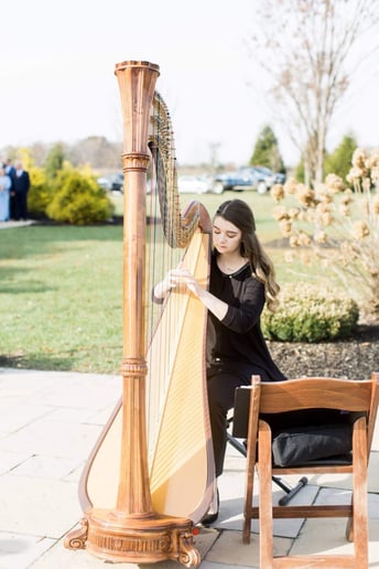 Gallery photo 2 of Sophia Shedd