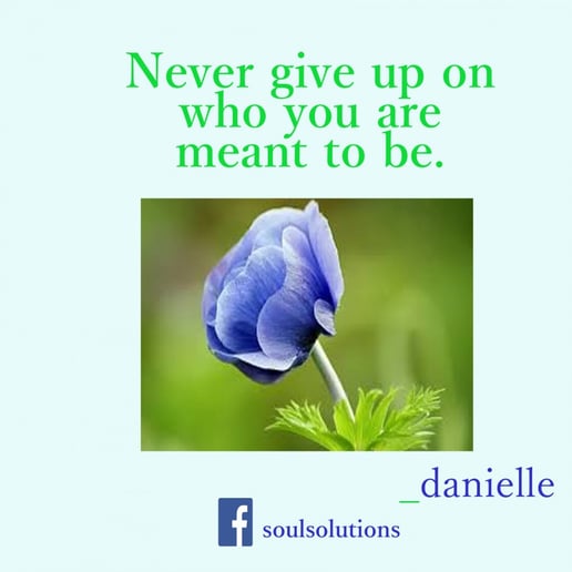Gallery photo 1 of Soul Solutions