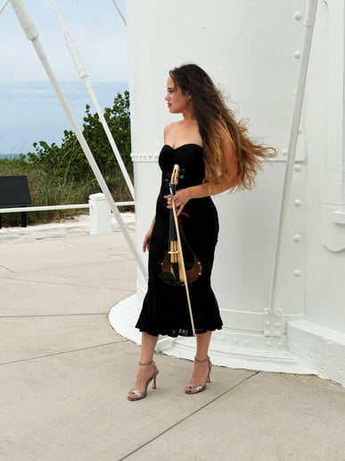Gallery photo 4 of Soul Violin