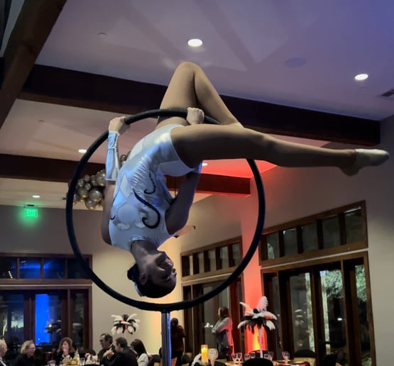 Gallery photo 7 of Circus for the Soul