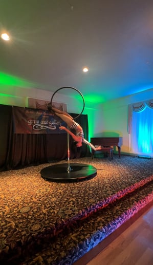 Gallery photo 8 of Circus for the Soul