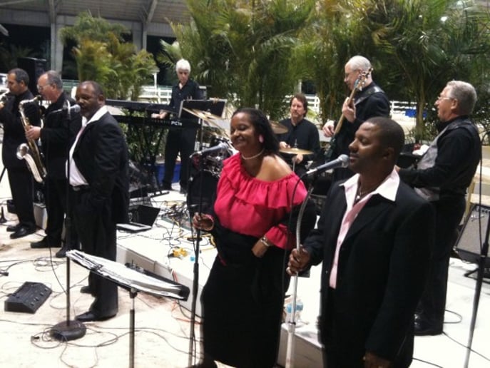 Gallery photo 2 of Soulful Songstress