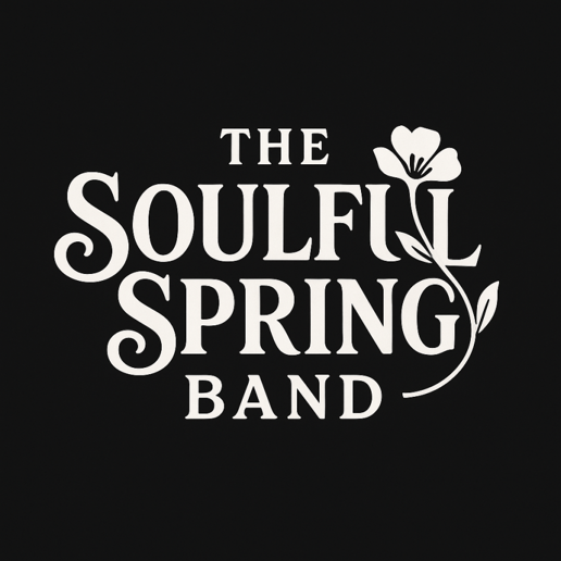 Gallery photo 4 of Soulful Spring Band