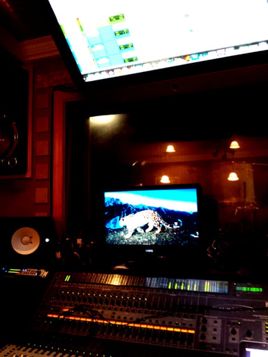 Gallery photo 1 of Sound by H.L.R