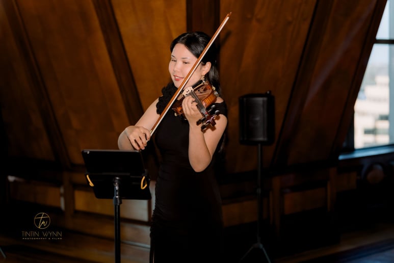 Gallery photo 5 of Alma Elegance Violin