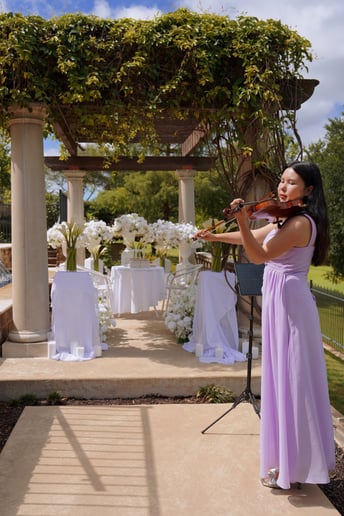Gallery photo 3 of Alma Elegance Violin