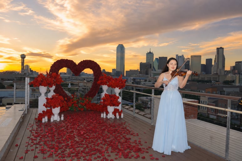 Gallery photo 1 of Alma Elegance Violin
