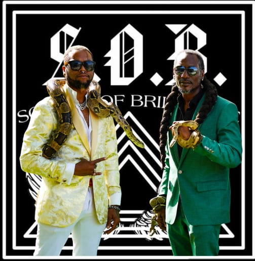 Gallery photo 1 of Sounds of Brilliance (S.O.B.)