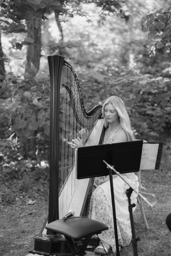 Gallery photo 2 of Sounds of the Harp