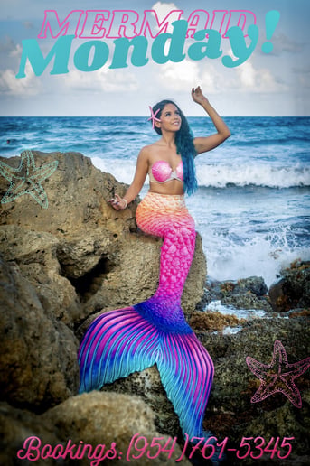 Gallery photo 4 of South Florida Surprises