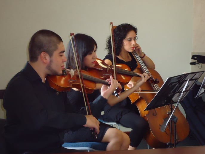 Gallery photo 3 of South Padre Island String Quartet