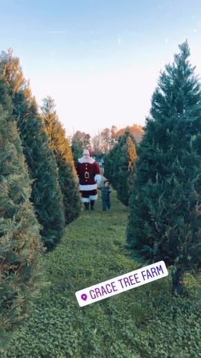 Gallery photo 59 of Storied Santa - Santa Rich