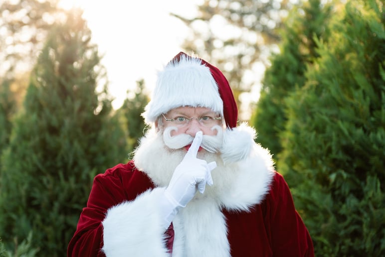 Gallery photo 38 of Storied Santa - Santa Rich