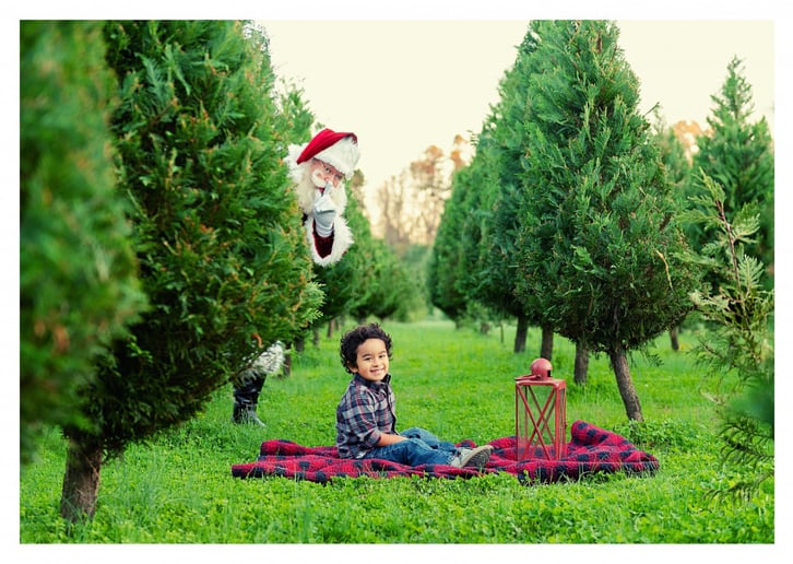 Gallery photo 44 of Storied Santa - Santa Rich