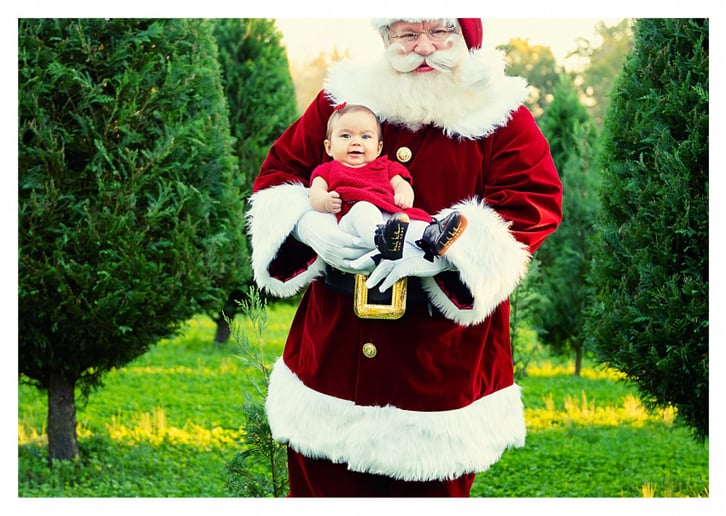 Gallery photo 33 of Storied Santa - Santa Rich