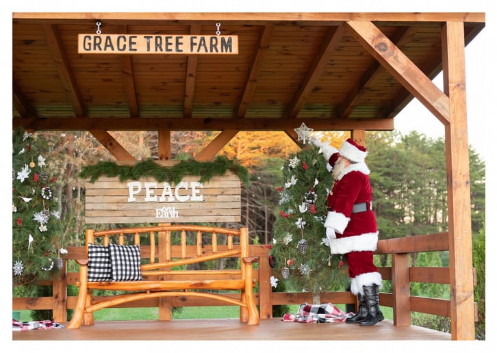 Gallery photo 56 of Storied Santa - Santa Rich