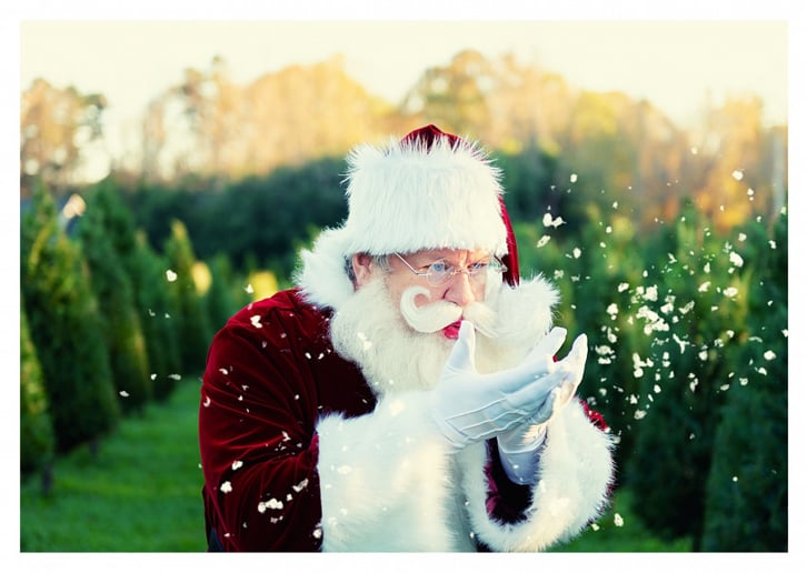 Gallery photo 54 of Storied Santa - Santa Rich