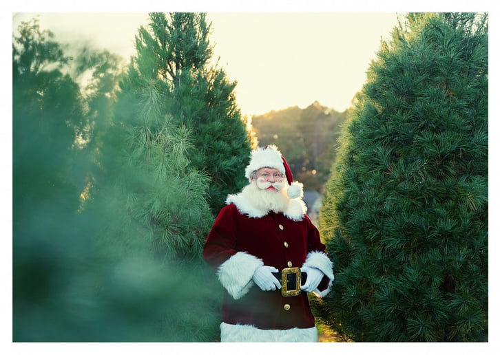 Gallery photo 53 of Storied Santa - Santa Rich