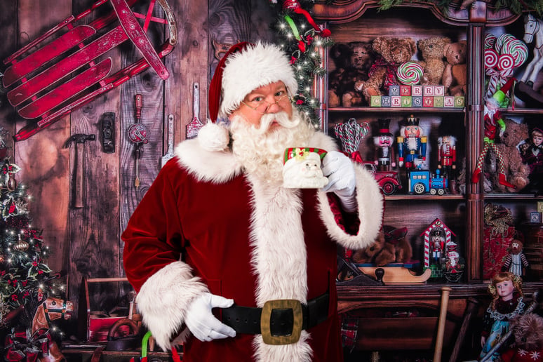 Gallery photo 42 of Storied Santa - Santa Rich