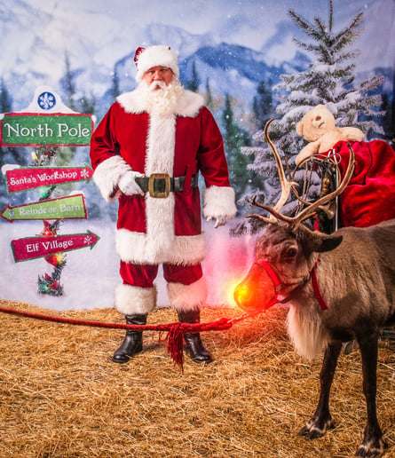Gallery photo 10 of Storied Santa - Santa Rich