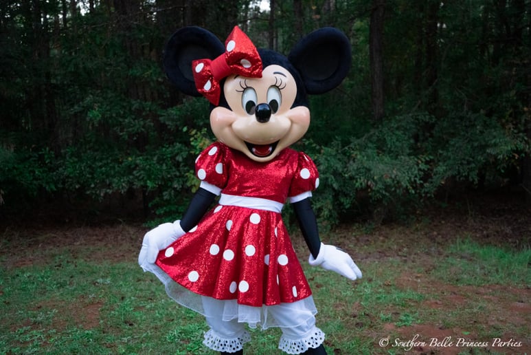 Gallery photo 2 of Southern Belle Princess Parties